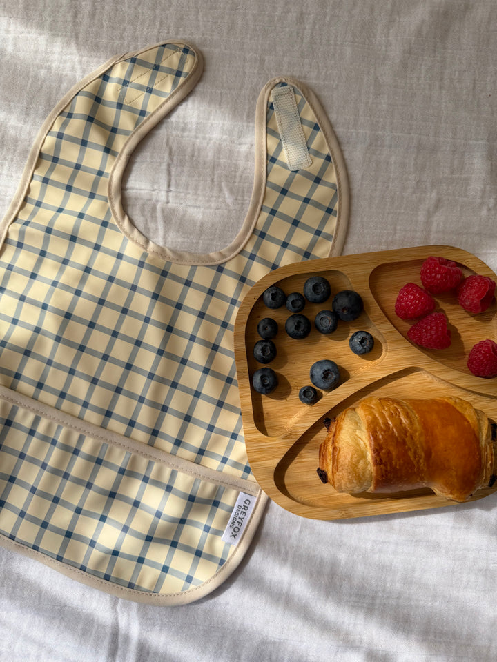Blueberry Picnic - Mini Bib