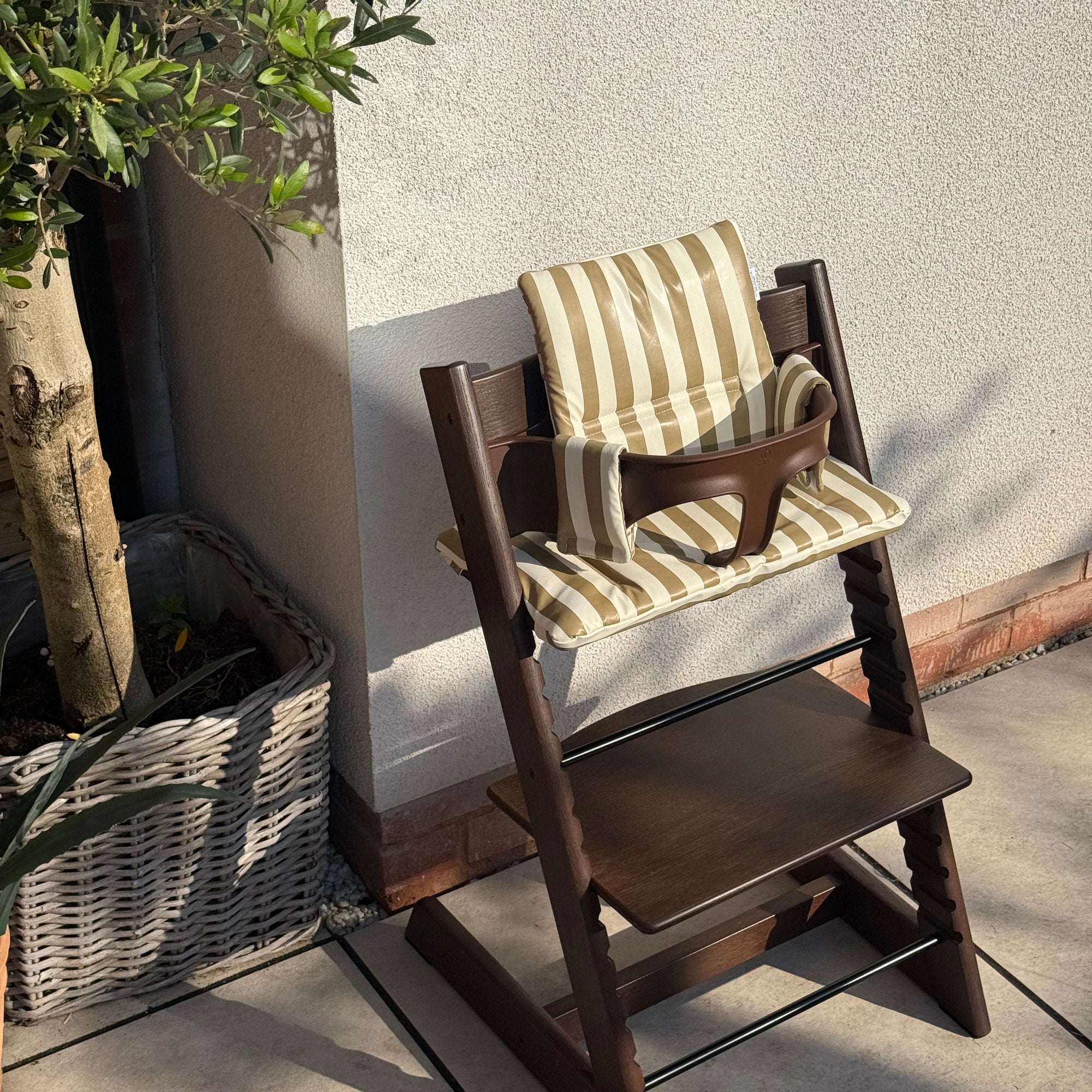 Olive Stripe 2 in 1 Cushion