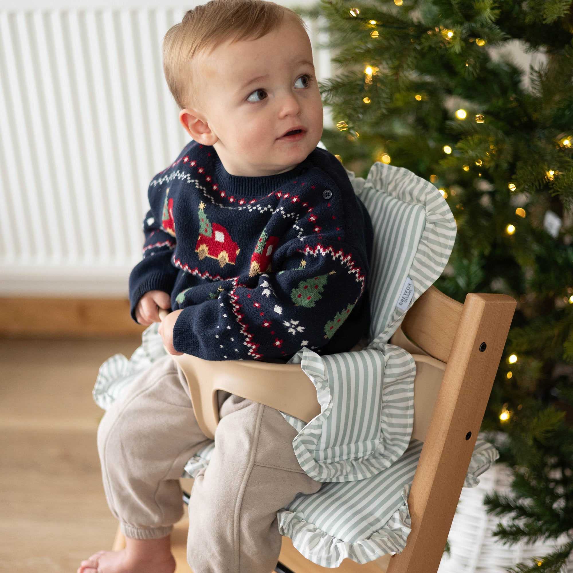 Sage Stripe 2 in 1 Cushion