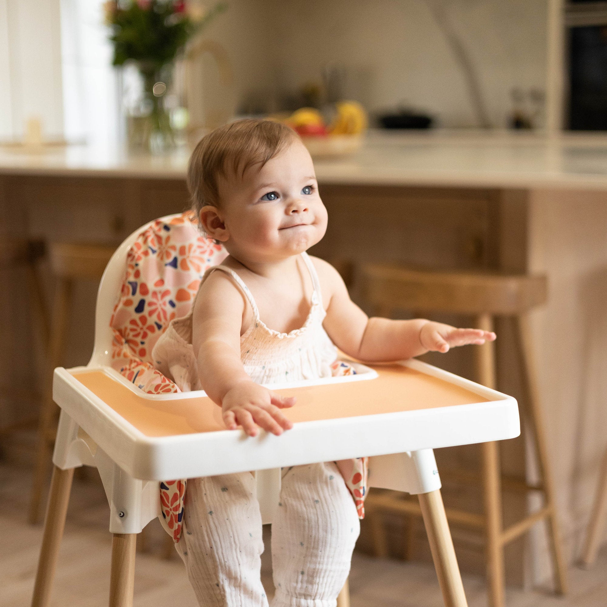Peaches Tray Placemat